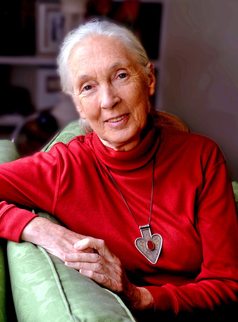 Dr Jane Goodall.
