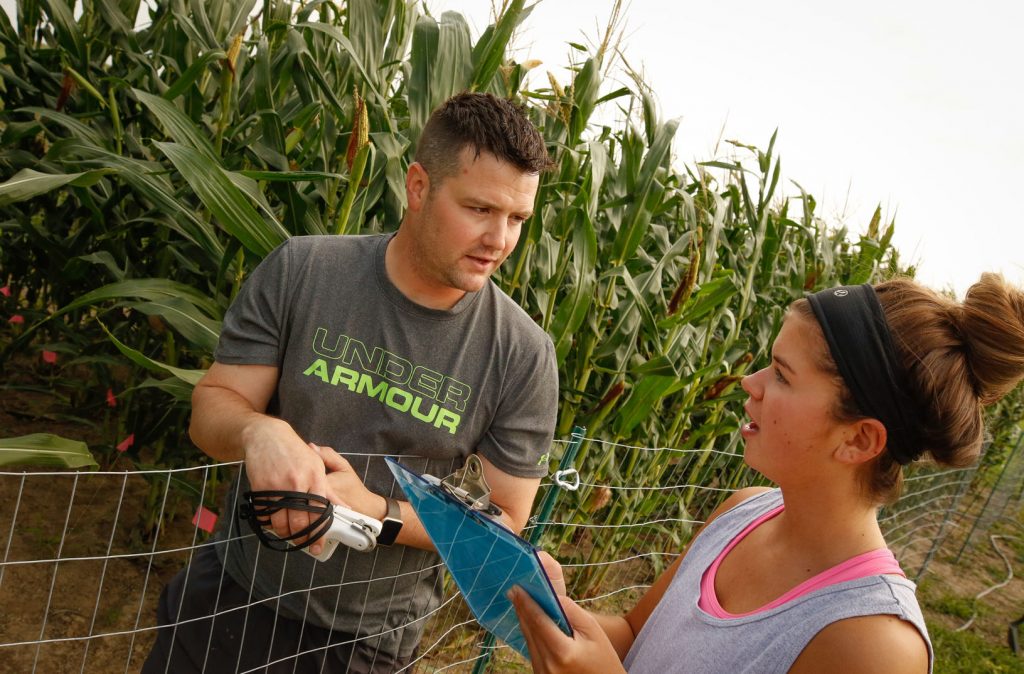 UNK biology students Joe Haag of Grand Island and Kathleen Bartunek of Hastings work at the research site, where small plots of corn have been treated with biochar, a by-product from processing biofuels. The goal of the experimental plantings is to increase the soil’s microbial diversity and help the corn plants grow better. (Photo by Corbey R. Dorsey, UNK Communications)