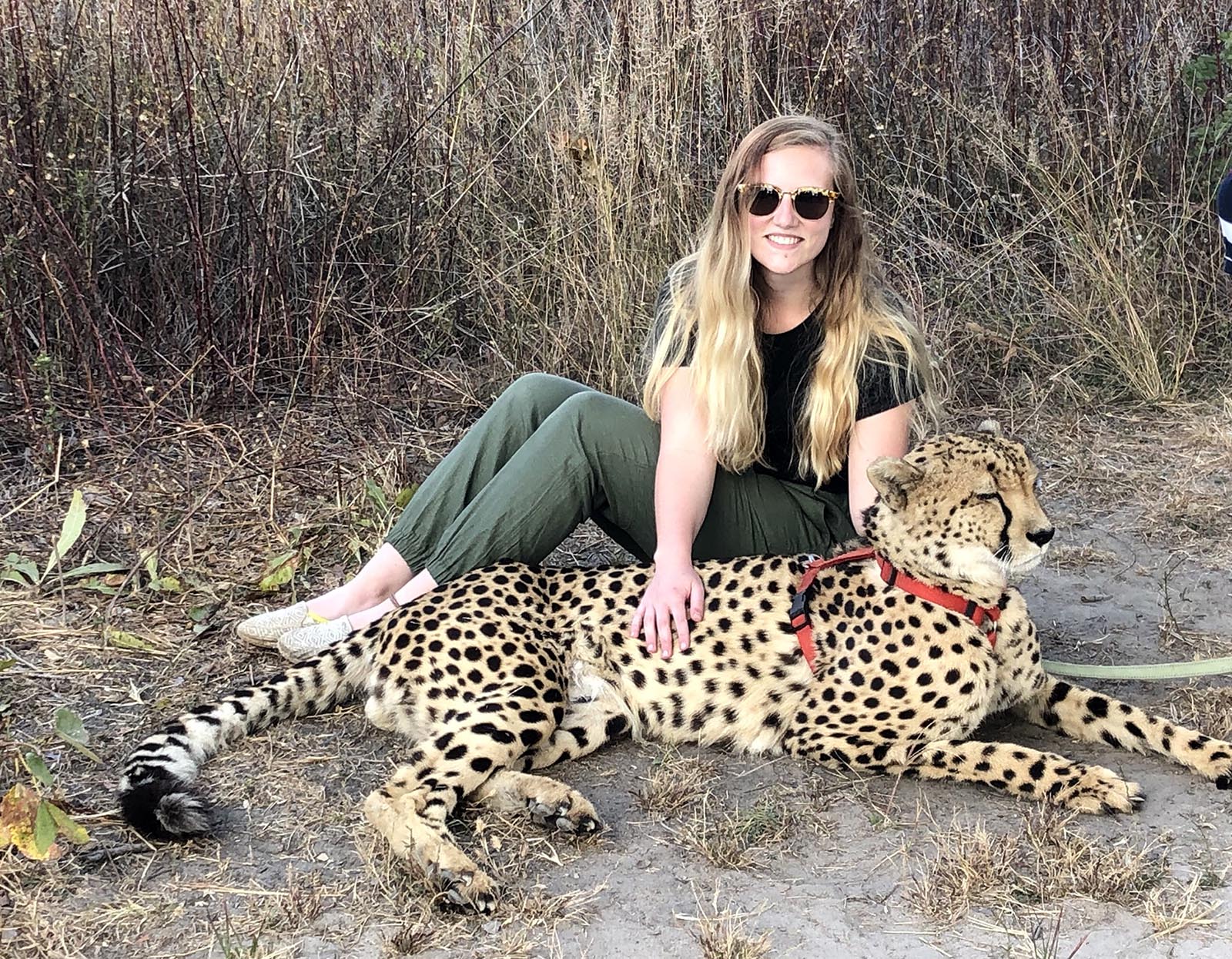 UNK graduate Tessa Copp poses for a photo with a cheetah during a recent trip to Zambia. (Courtesy photo)