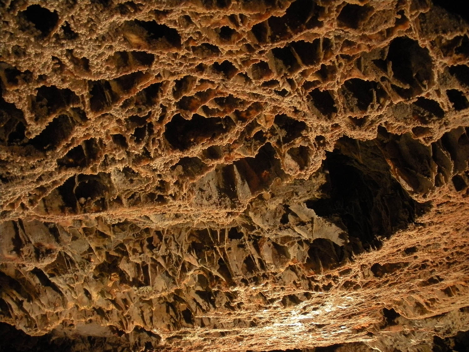 Wind Cave is home to a wide array of formations, including boxwork, a honeycomb-shaped calcite structure that’s rarely found elsewhere. (NPS Photo)