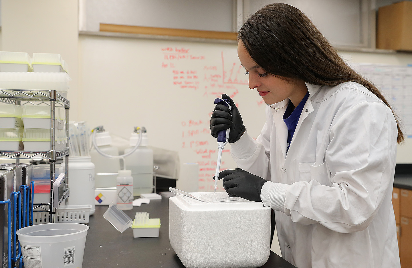 UNK senior Leigh-Anne Lehmann is part of a student research team working alongside assistant biology professor Joe Dolence to study food allergies. (Photos by Erika Pritchard, UNK Communications)