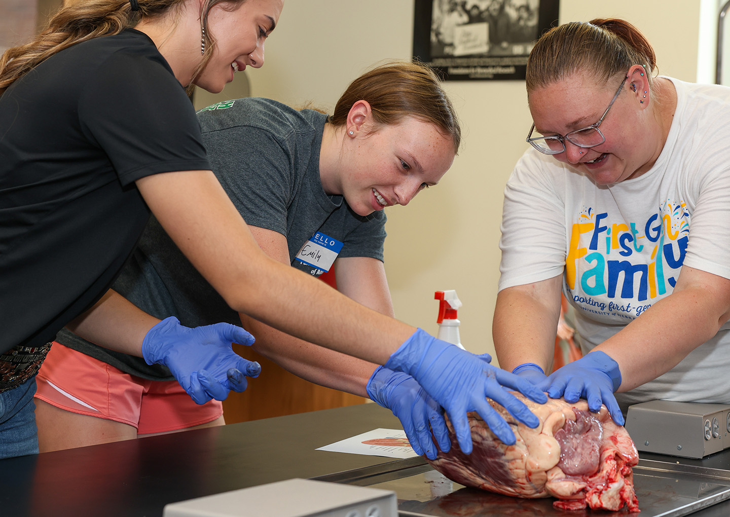From left, Allison Heath of Cody and Emily Endorf of Pierce dissect a beef heart with assistance from UNK biology lecturer Alexis Hobbs.