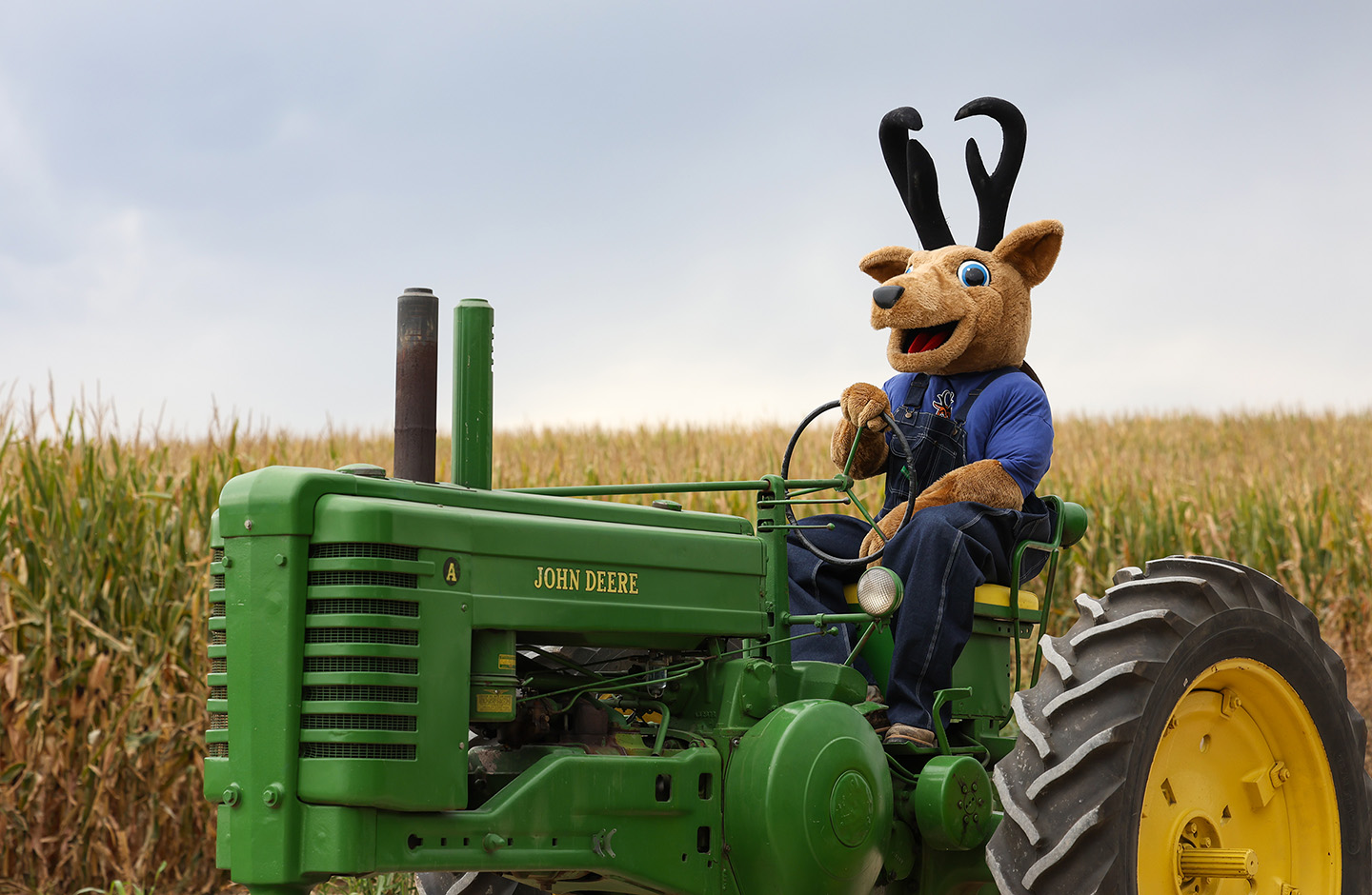 Louie the Loper is ready for next week’s harvest-themed homecoming festivities. (Photos by Erika Pritchard, UNK Communications)