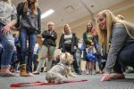 Laura Stoner, a UNK student from Kearney, gives a demonstration on canine behavioral training Tuesday during a psychology fair hosted by UNK. (Photo by Corbey R. Dorsey, UNK Communications)