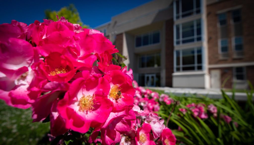 Campus Flowers University of Nebraska at Kearney UNK News
