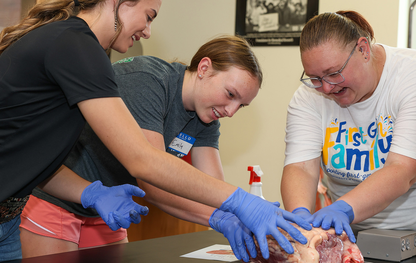 健康・医学 Experimental Slips and Human Error Casting arms and dissecting hearts: High schoolers get hands-on