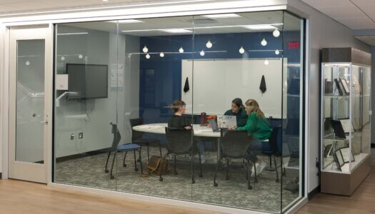 Students study in a study room in the library.