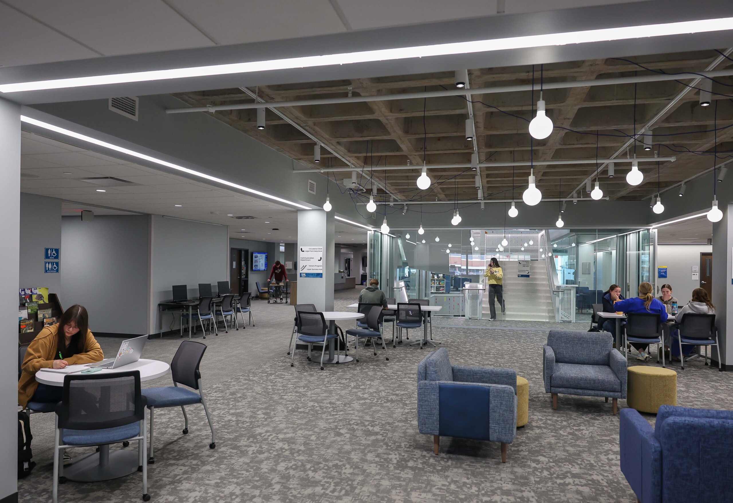 Students study in the library.