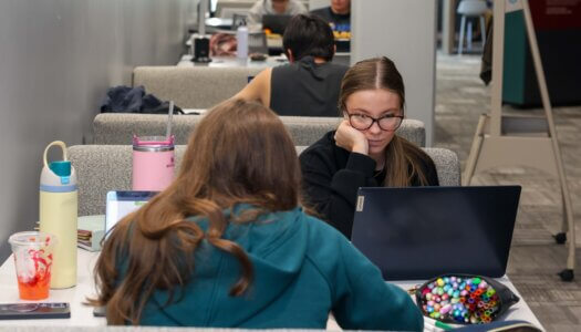 Students study in the library.