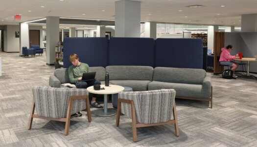 Students study in the library.