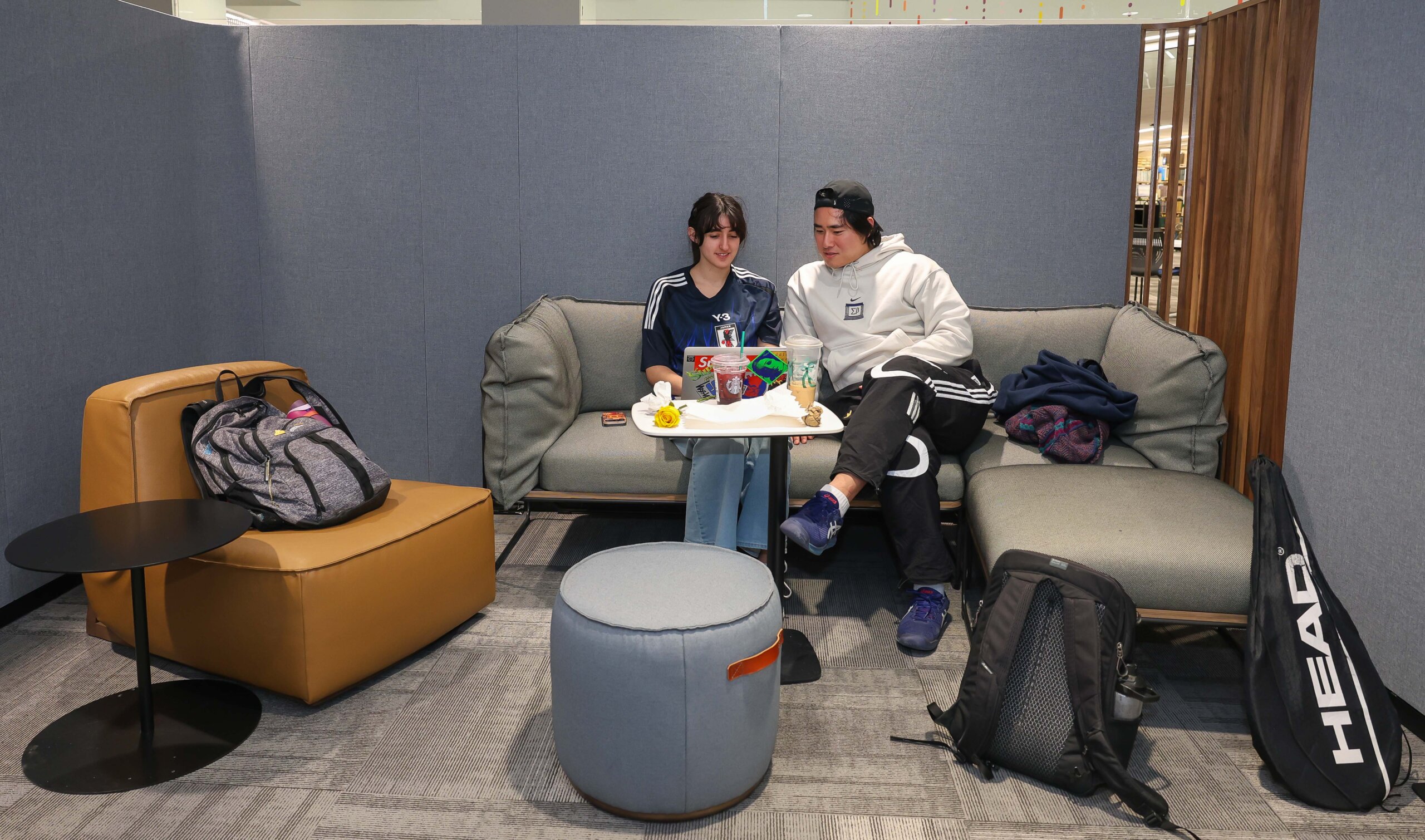 Students study in the library.