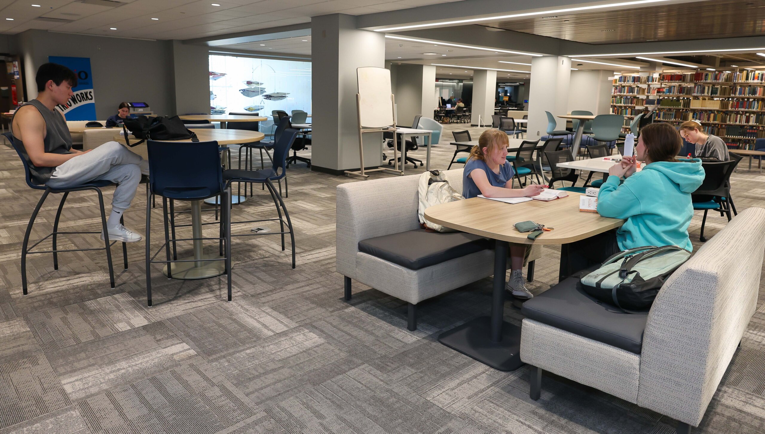 Students study in the library.