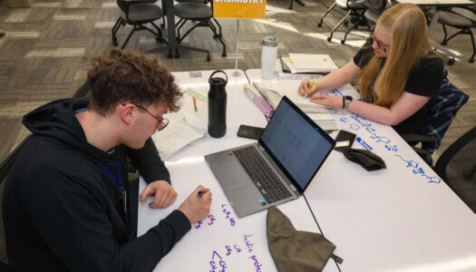 Students study chemistry in the library.