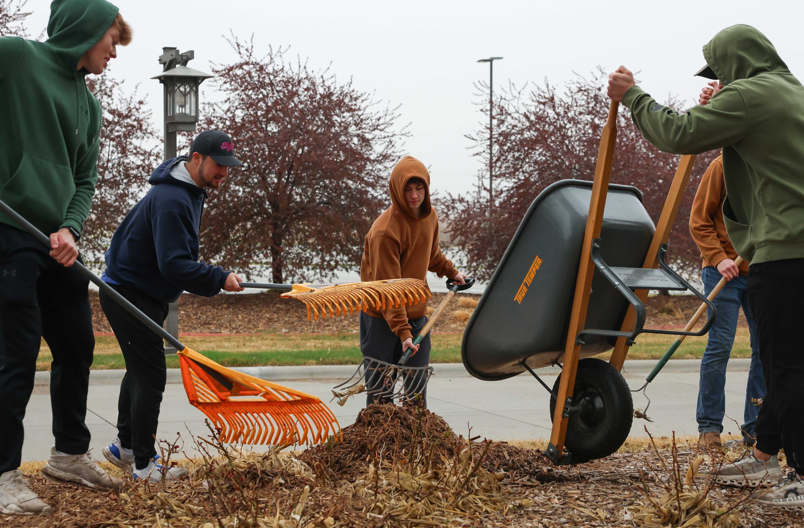 Sigma Phi Epsilon fraternity members spread mulch at Yanney Park in Kearney.