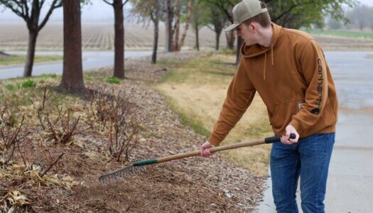A UNK student volunteers at Yanney Park.