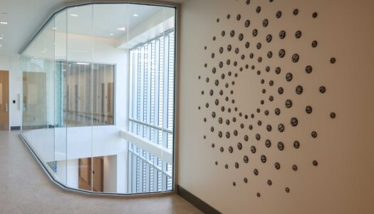 A look inside the Health Science Education Center II.
