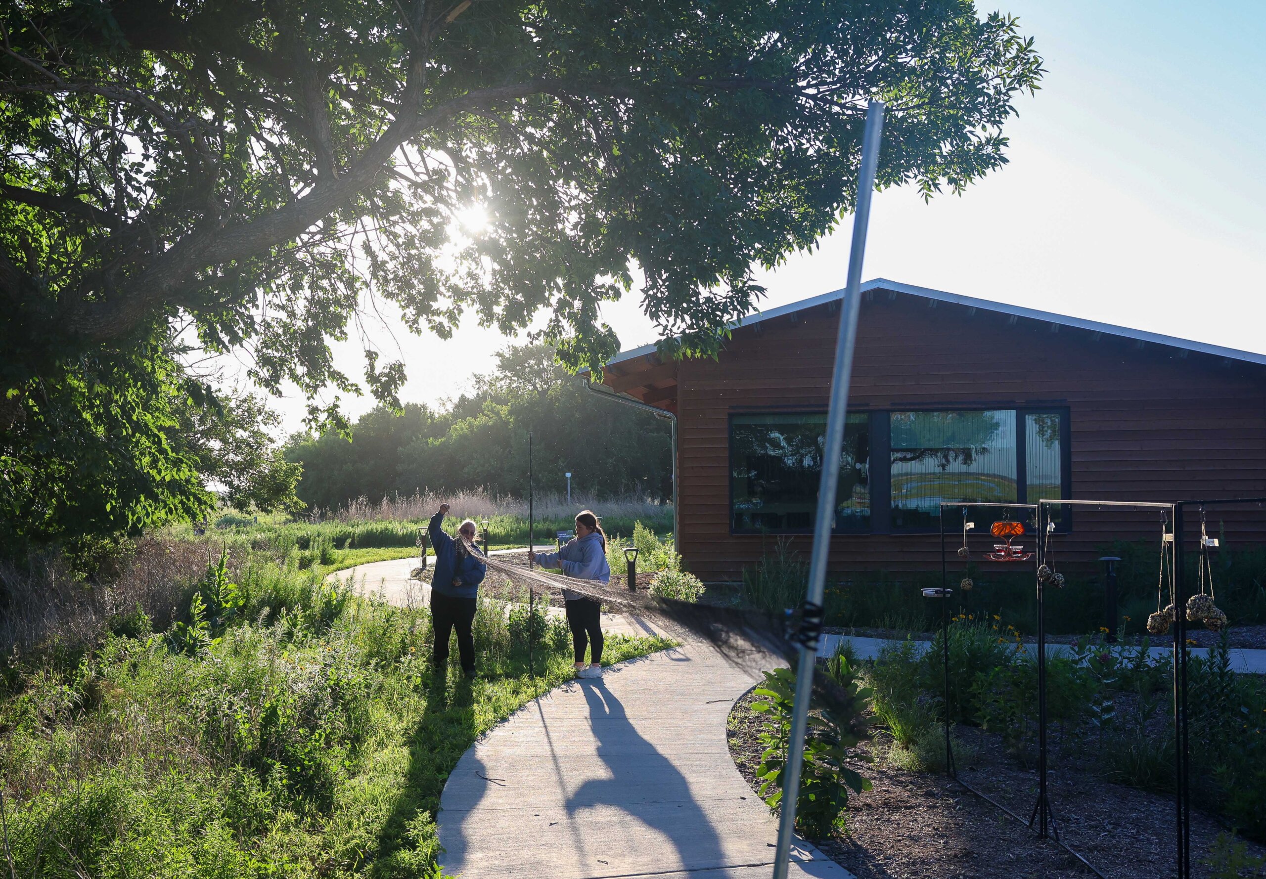 UNK biology professor Letty Reichart and senior Morgan Holm set up a net at Rowe Sanctuary to capture birds for their research project.