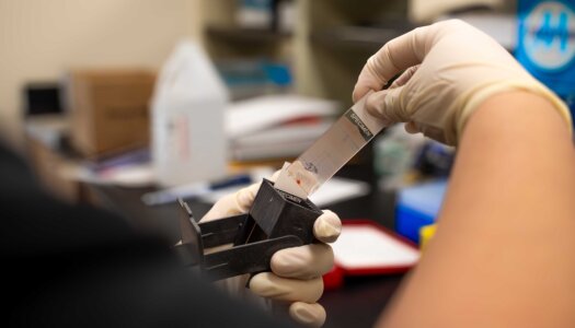 Letty Reichart and Morgan Holm test blood samples.