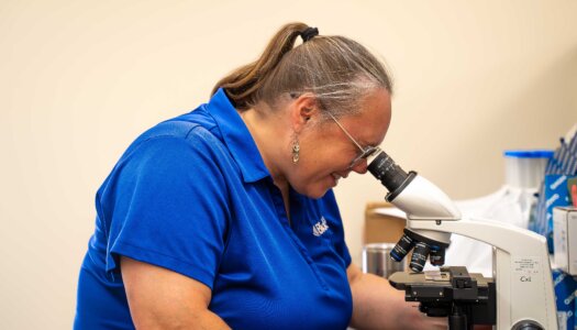 Letty Reichart studies a blood sample through a microscope.