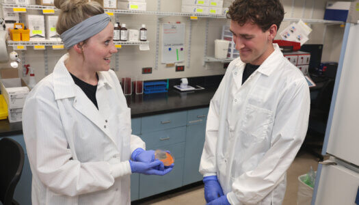 Lainey Wiedel, a medical laboratory technician at Mary Lanning Healthcare, shows UNK junior Rylan Nordby the microbiology lab during the Rural Immersion Program.