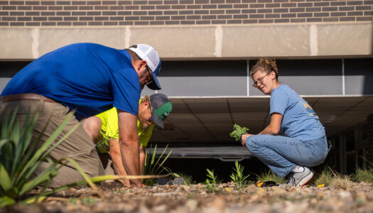 UNK Facilities Management and Planning employees add native plants to a landscape bed.