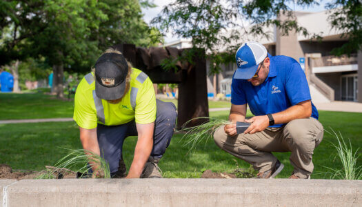 UNK Facilities Management and Planning employees add native plants to a landscape bed.