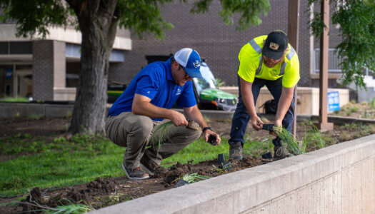 UNK Facilities Management and Planning employees add native plants to a landscape bed.