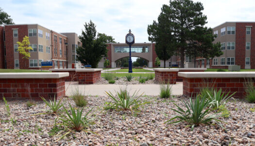 A landscape bed with native plants on the UNK campus.