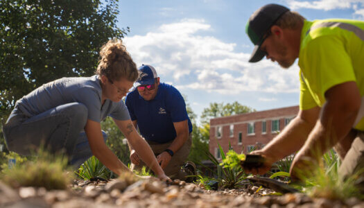 UNK Facilities Management and Planning employees add native plants to a landscape bed.