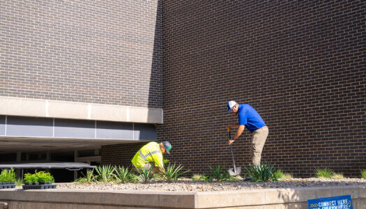 UNK Facilities Management and Planning employees add native plants to a landscape bed.