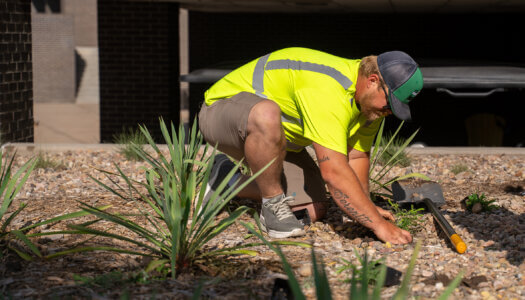 UNK Facilities Management and Planning employees add native plants to a landscape bed.