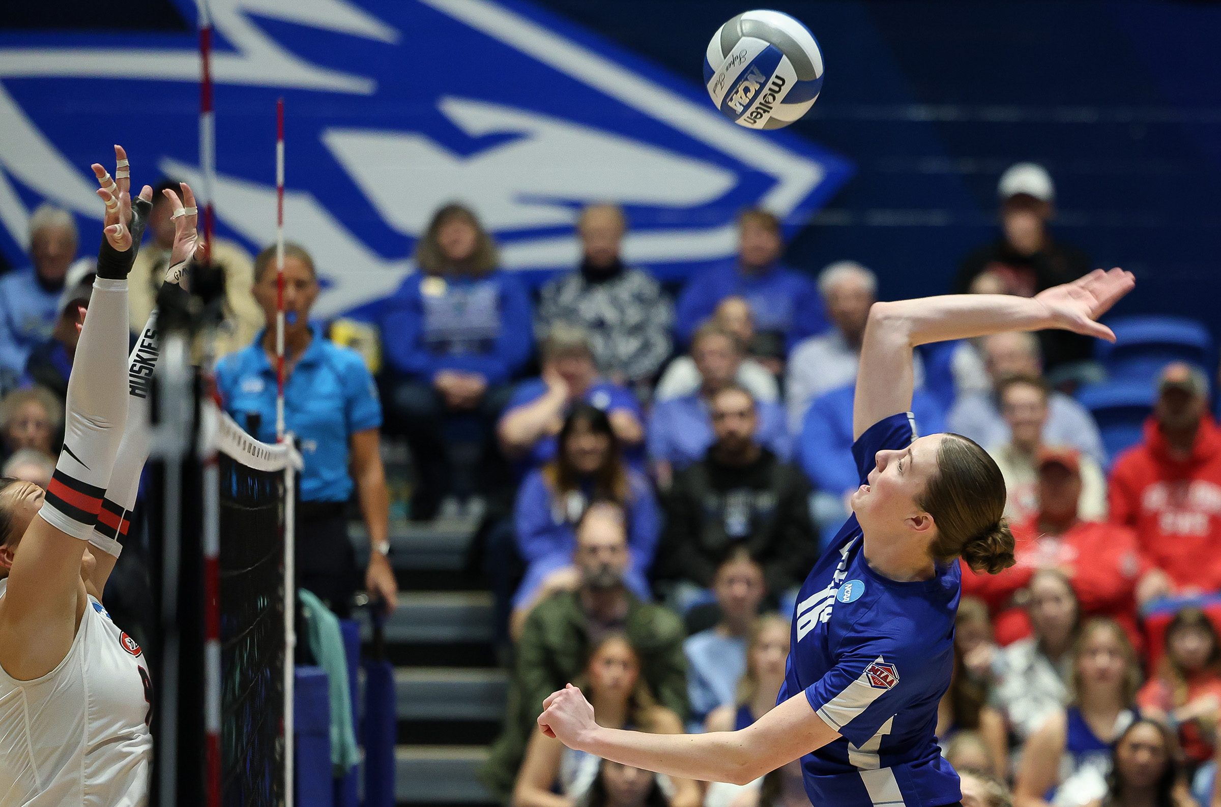 Sydney Davis elevates for an attack during a home match.